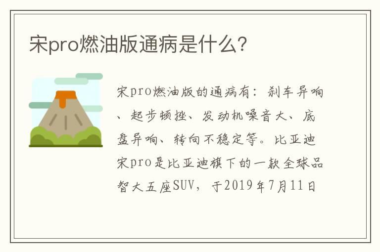宋pro燃油版通病是什么？