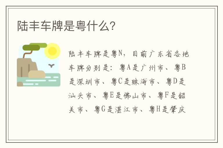 陆丰车牌是粤什么？