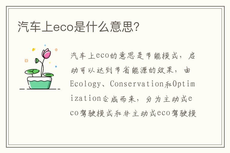 汽车上eco是什么意思？