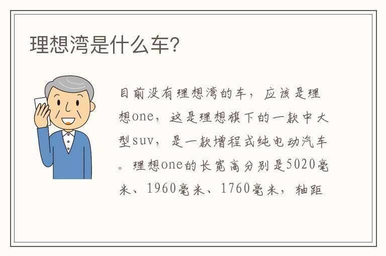 理想湾是什么车？