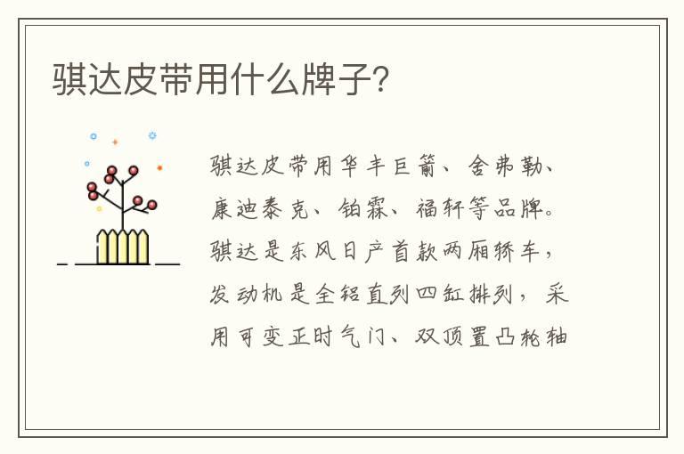 骐达皮带用什么牌子？