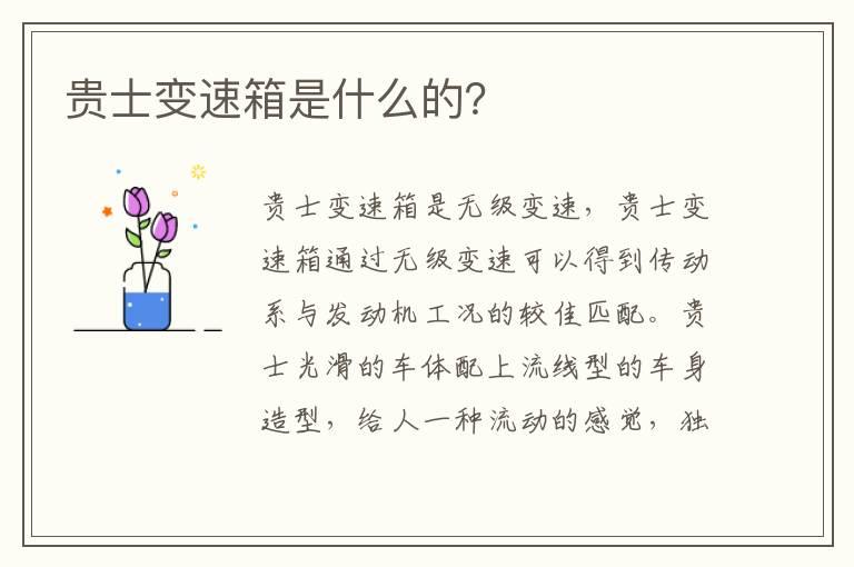 贵士变速箱是什么的？