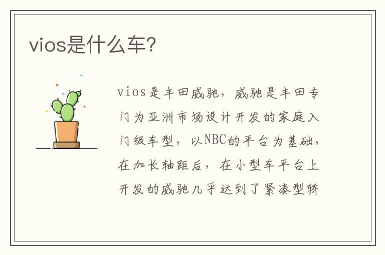 vios是什么车？