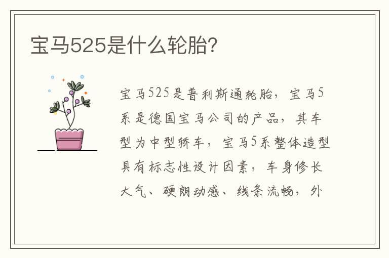 宝马525是什么轮胎？