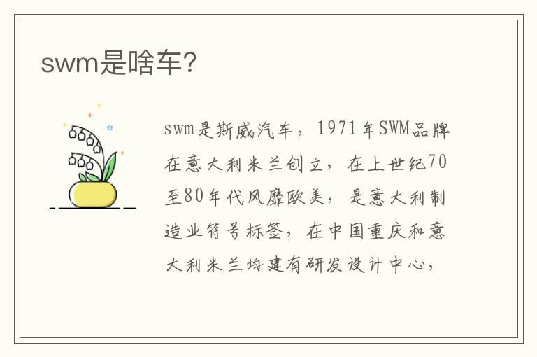 swm是啥车？