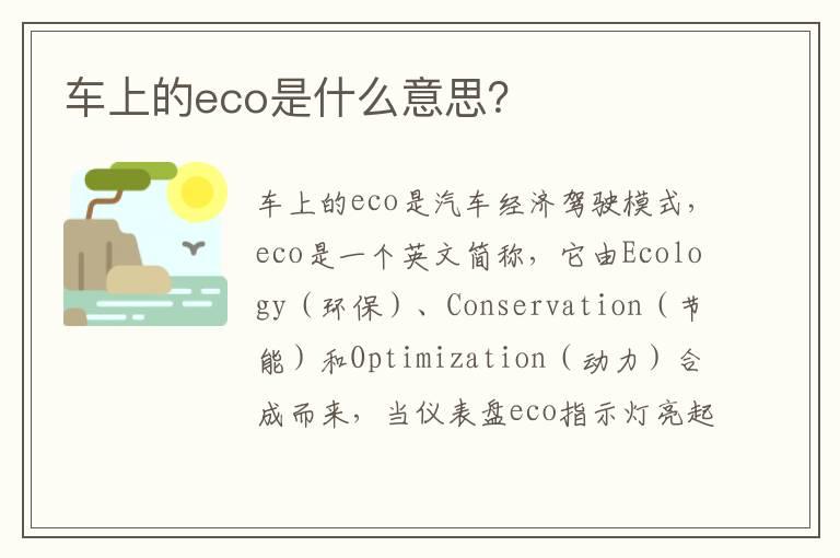 车上的eco是什么意思？