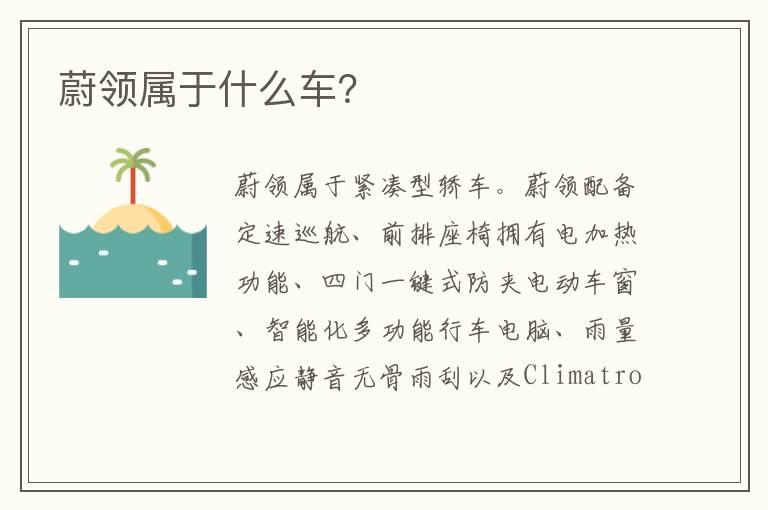 蔚领属于什么车？