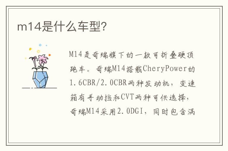 m14是什么车型？