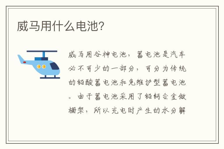威马用什么电池？