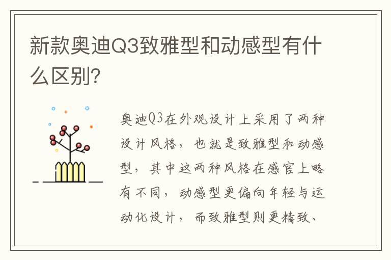 新款奥迪Q3致雅型和动感型有什么区别？