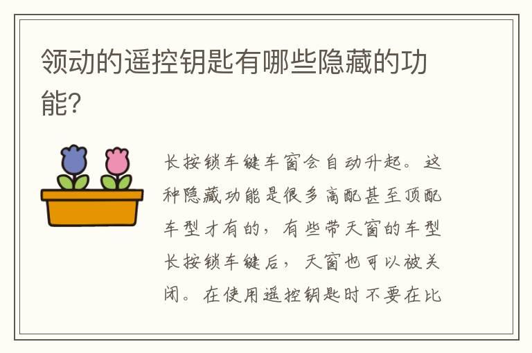 领动的遥控钥匙有哪些隐藏的功能？