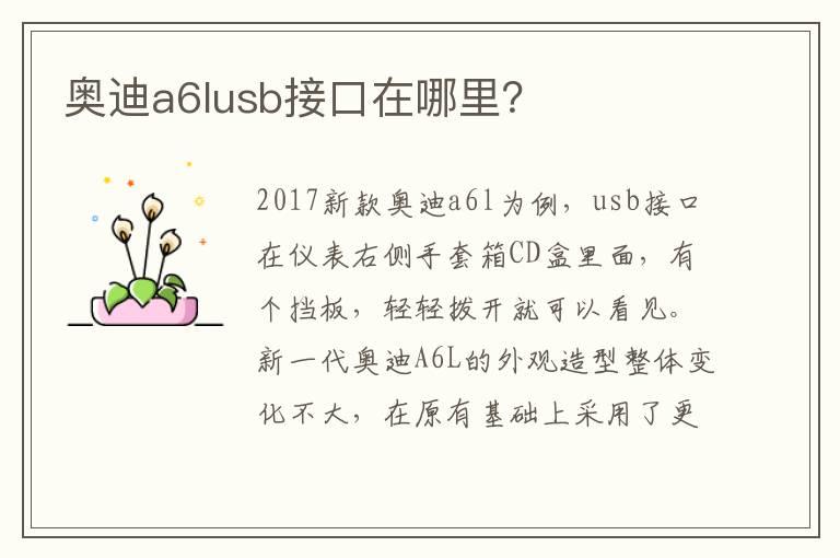 奥迪a6lusb接口在哪里？