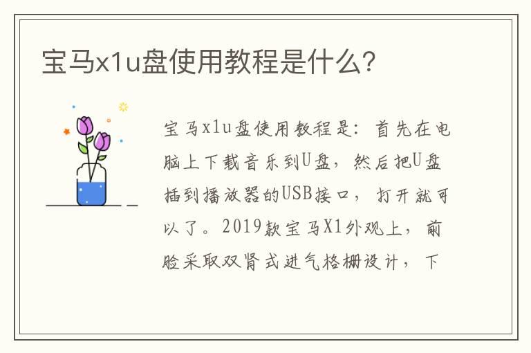 宝马x1u盘使用教程是什么？