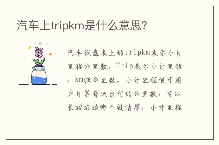 汽车上tripkm是什么意思？