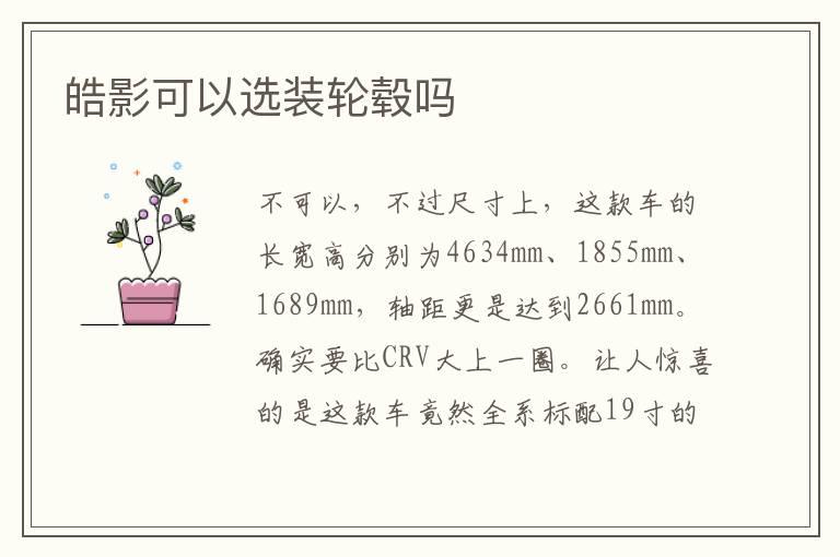皓影可以选装轮毂吗