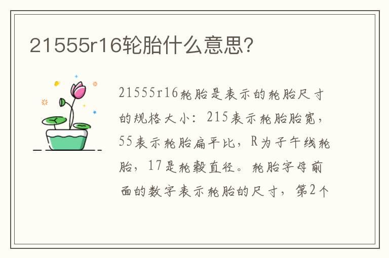 21555r16轮胎什么意思？