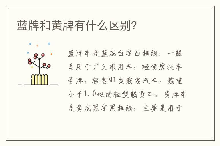 蓝牌和黄牌有什么区别？