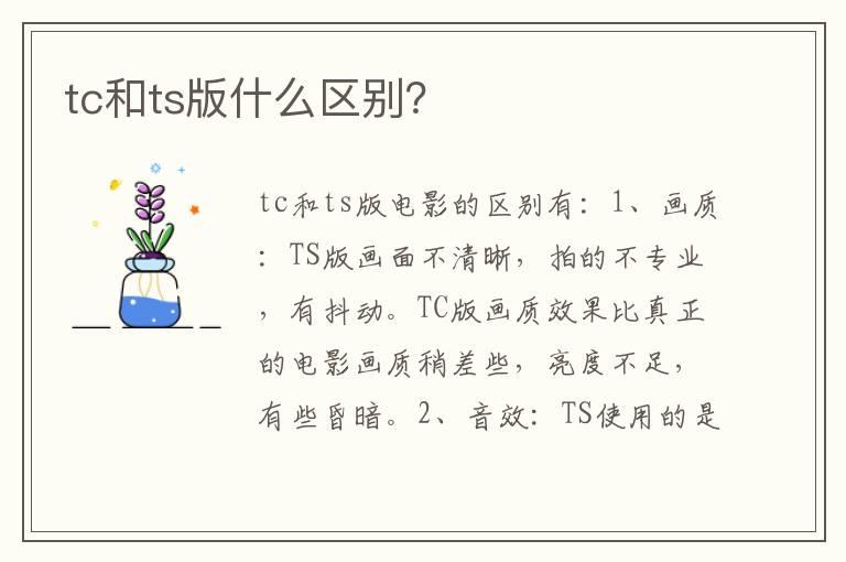 tc和ts版什么区别？