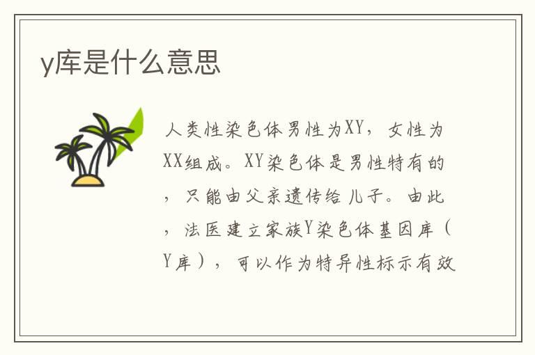 y库是什么意思
