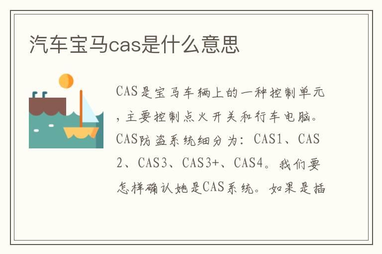 汽车宝马cas是什么意思
