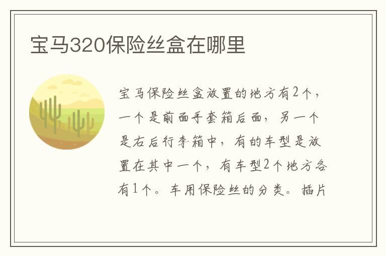 宝马320保险丝盒在哪里
