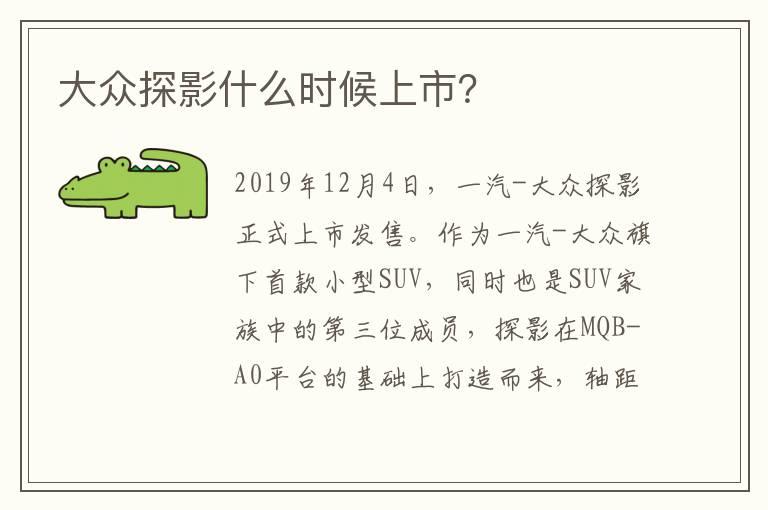 大众探影什么时候上市？