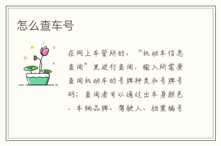 怎么查车号