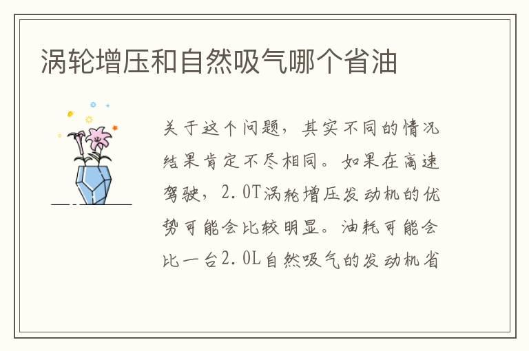涡轮增压和自然吸气哪个省油