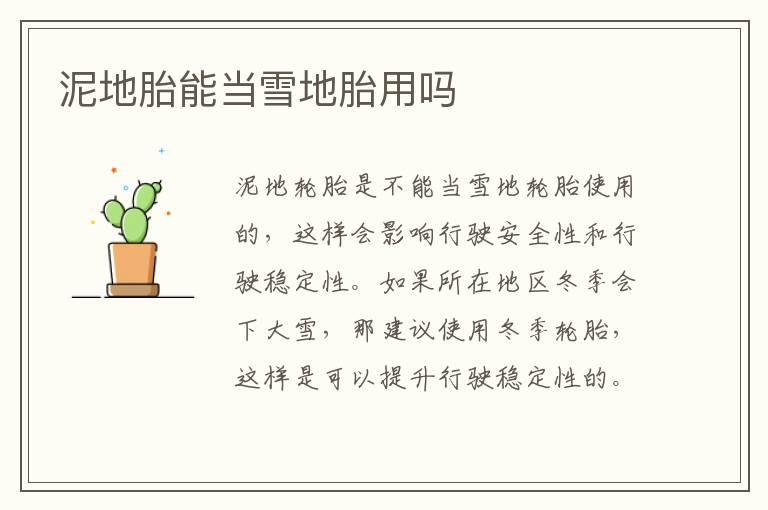 泥地胎能当雪地胎用吗