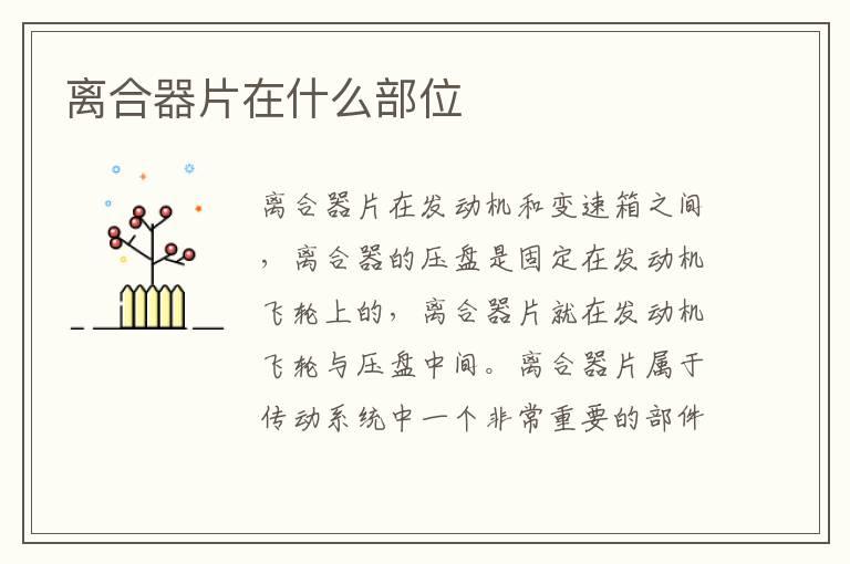 离合器片在什么部位