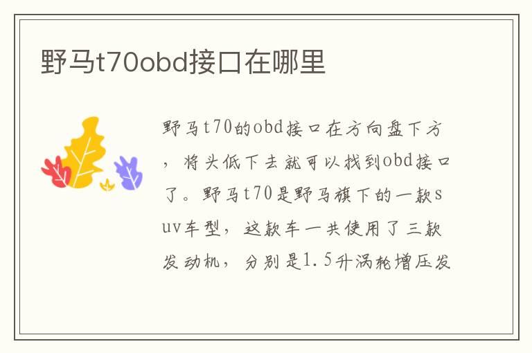 野马t70obd接口在哪里