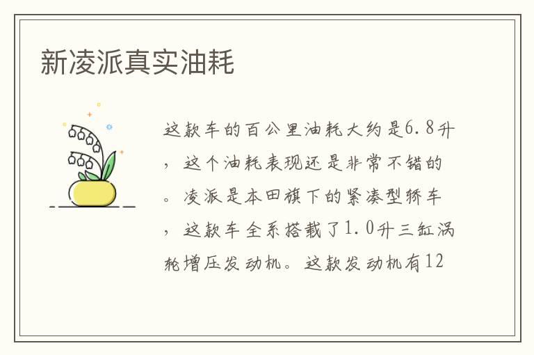 新凌派真实油耗