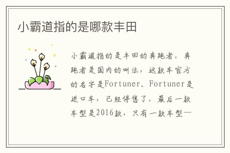 小霸道指的是哪款丰田