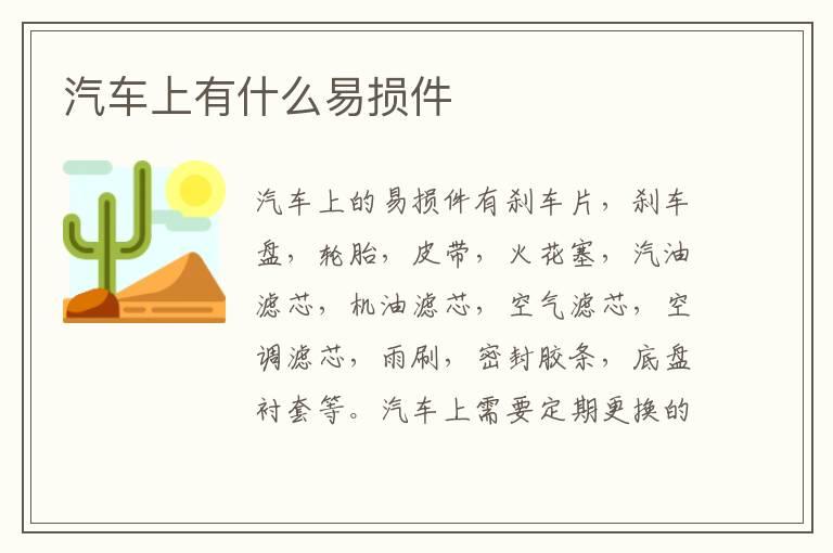 汽车上有什么易损件