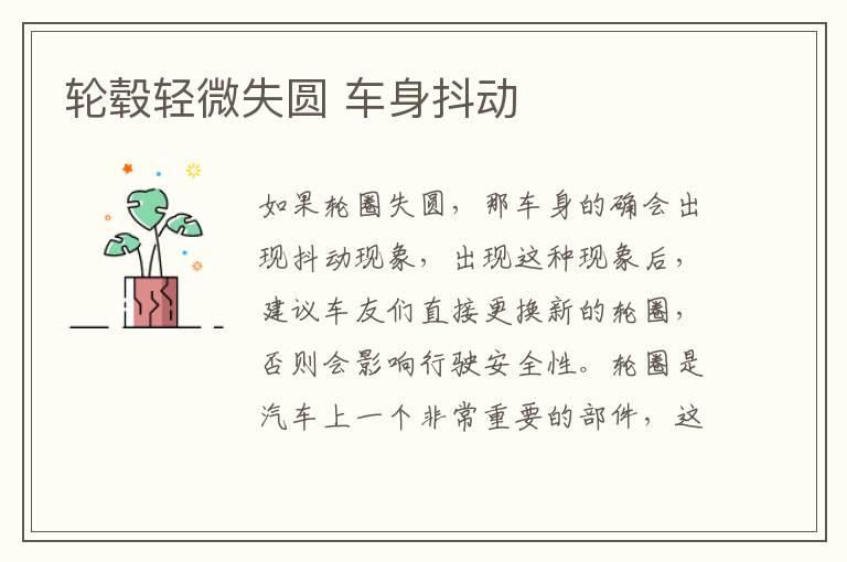 轮毂轻微失圆 车身抖动