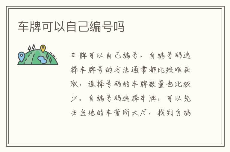 车牌可以自己编号吗
