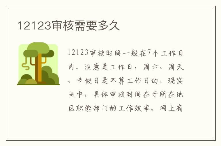 12123审核需要多久