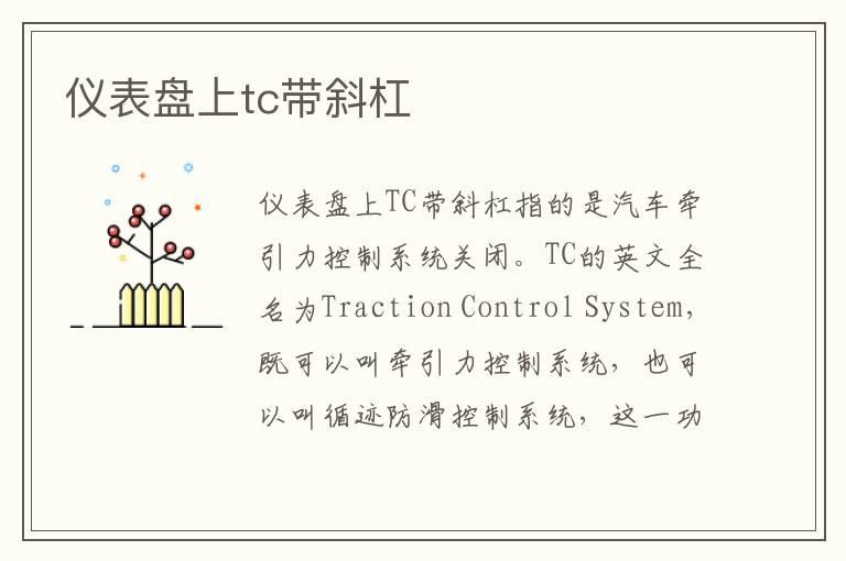 仪表盘上tc带斜杠