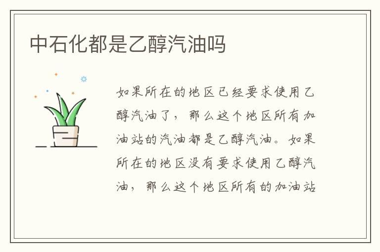 中石化都是乙醇汽油吗