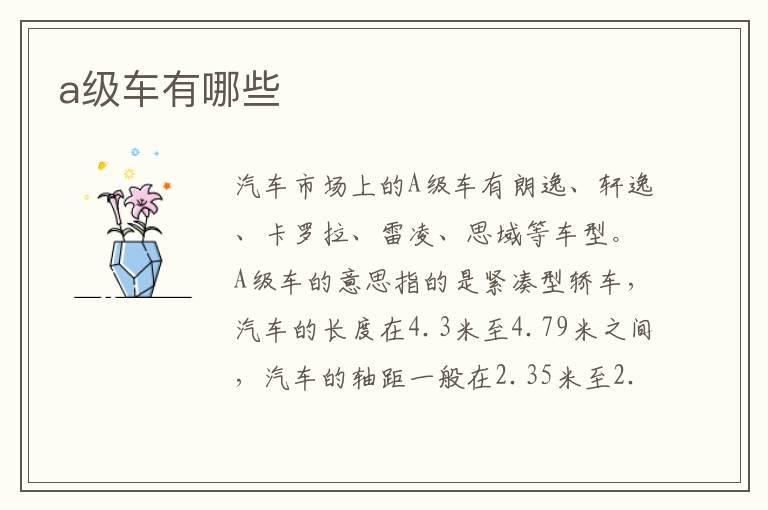 a级车有哪些