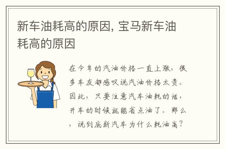 新车油耗高的原因, 宝马新车油耗高的原因