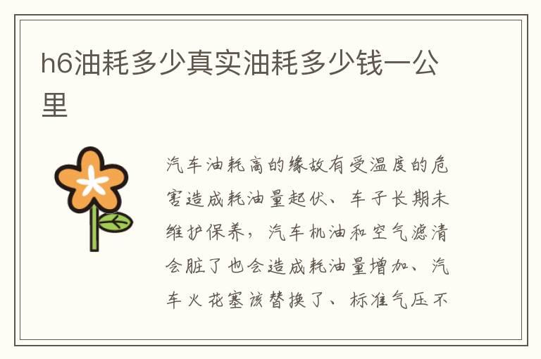 h6油耗多少真实油耗多少钱一公里