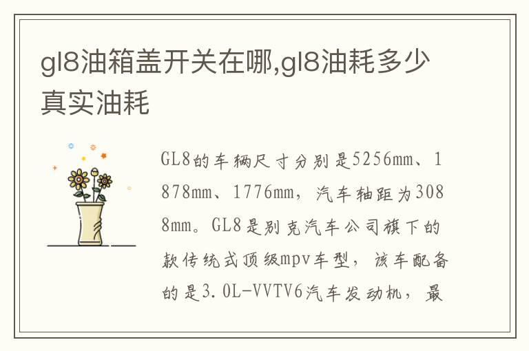 gl8油箱盖开关在哪,gl8油耗多少真实油耗