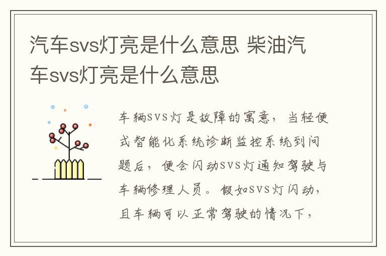 汽车svs灯亮是什么意思 柴油汽车svs灯亮是什么意思