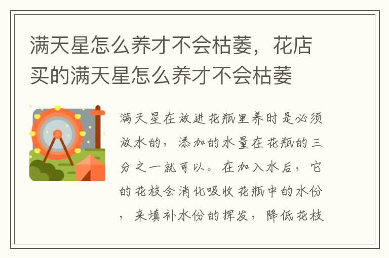 满天星怎么养才不会枯萎，花店买的满天星怎么养才不会枯萎