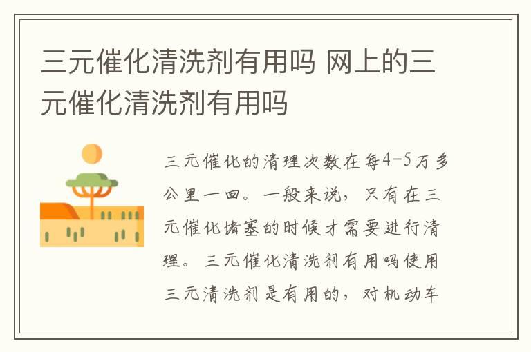 三元催化清洗剂有用吗 网上的三元催化清洗剂有用吗