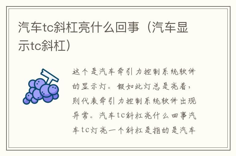 汽车tc斜杠亮什么回事（汽车显示tc斜杠）