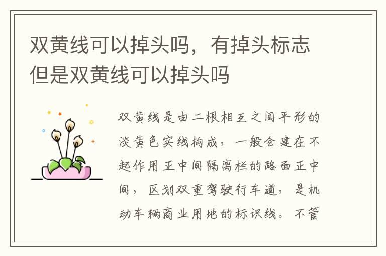 双黄线可以掉头吗，有掉头标志但是双黄线可以掉头吗