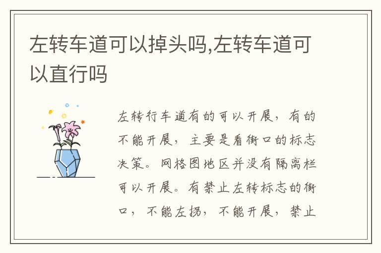 左转车道可以掉头吗,左转车道可以直行吗