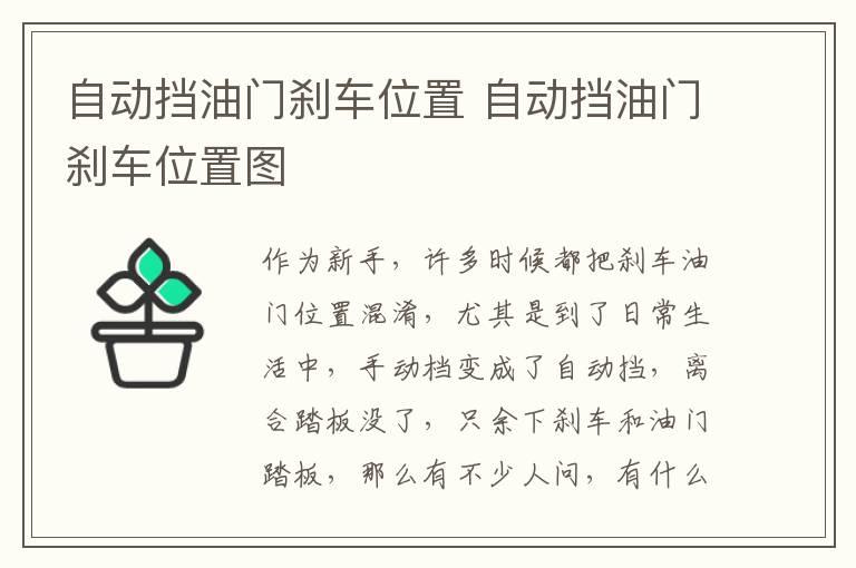 自动挡油门刹车位置 自动挡油门刹车位置图